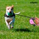 Edipets, Dog Lead, Extendable and Retractable Lead, 5M, 8M, Flexible Training Walking Leash for Small Medium Large Dogs (Blue, 8M) Edipets, Dog Lead, Extendable and Retractable Lead, 5M, 8M, Flexible Training Walking Leash for Small Medium Large Dogs (Blue, 8M)
