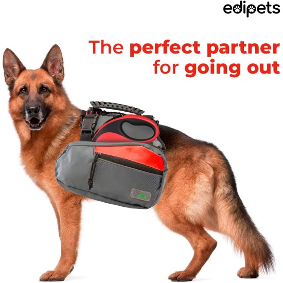 Edipets, Dog Lead, Extendable and Retractable Lead, 5M, 8M, Flexible Training Walking Leash for Small Medium Large Dogs (Blue, 8M) Edipets, Dog Lead, Extendable and Retractable Lead, 5M, 8M, Flexible Training Walking Leash for Small Medium Large Dogs (Blue, 8M)