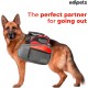 Edipets, Dog Lead, Extendable and Retractable Lead, 5M, 8M, Flexible Training Walking Leash for Small Medium Large Dogs (Blue, 8M) Edipets, Dog Lead, Extendable and Retractable Lead, 5M, 8M, Flexible Training Walking Leash for Small Medium Large Dogs (Blue, 8M)