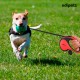 Edipets, Dog Lead, Extendable and Retractable Lead, 5M, 8M, Flexible Training Walking Leash for Small Medium Large Dogs (Blue, 8M) Edipets, Dog Lead, Extendable and Retractable Lead, 5M, 8M, Flexible Training Walking Leash for Small Medium Large Dogs (Blue, 8M)