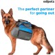Edipets, Dog Lead, Extendable and Retractable Lead, 5M, 8M, Flexible Training Walking Leash for Small Medium Large Dogs (Blue, 8M) Edipets, Dog Lead, Extendable and Retractable Lead, 5M, 8M, Flexible Training Walking Leash for Small Medium Large Dogs (Blue, 8M)