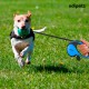 Edipets, Dog Lead, Extendable and Retractable Lead, 5M, 8M, Flexible Training Walking Leash for Small Medium Large Dogs (Blue, 8M) Edipets, Dog Lead, Extendable and Retractable Lead, 5M, 8M, Flexible Training Walking Leash for Small Medium Large Dogs (Blue, 8M)