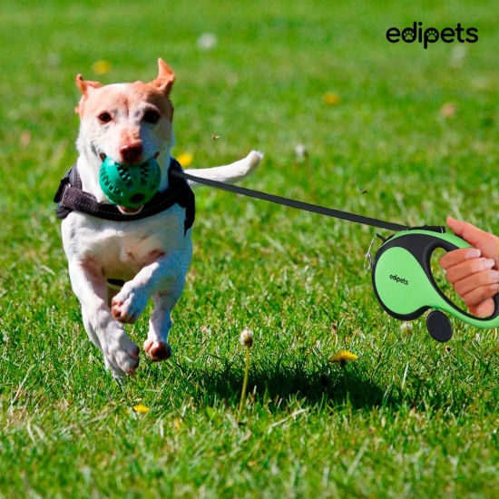 Edipets, Dog Lead, Extendable and Retractable Lead, 5M, 8M, Flexible Training Walking Leash for Small Medium Large Dogs (Green, 5M) Edipets, Dog Lead, Extendable and Retractable Lead, 5M, 8M, Flexible Training Walking Leash for Small Medium Large Dogs (Green, 5M)