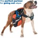 Edipets, Retractable Dog Lead, 3, 5 and 8 Metres, Flexible Band for Right and Walks, Dog Leash, Roller, Flexible Lead, Retractable (Grey, 8 Metres) Edipets, Retractable Dog Lead, 3, 5 and 8 Metres, Flexible Band for Right and Walks, Dog Leash, Roller, Flexible Lead, Retractable (Grey, 8 Metres)