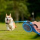 Edipets, Retractable Dog Lead, 3, 5 and 8 Metres, Flexible Band for Right and Walks, Dog Leash, Roller, Flexible Lead, Retractable (Grey, 8 Metres) Edipets, Retractable Dog Lead, 3, 5 and 8 Metres, Flexible Band for Right and Walks, Dog Leash, Roller, Flexible Lead, Retractable (Grey, 8 Metres)