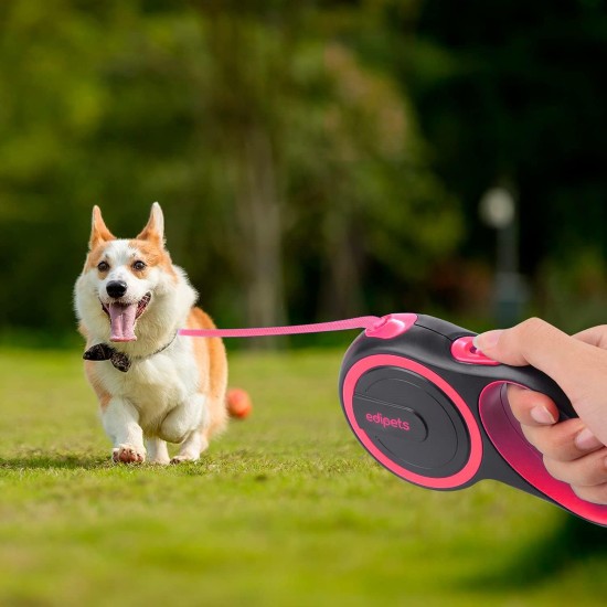 Edipets, Retractable Dog Lead, 3, 5 and 8 Metres, Flexible Band for Right and Walks, Dog Leash, Roller, Flexible Lead, Retractable (Grey, 8 Metres) Edipets, Retractable Dog Lead, 3, 5 and 8 Metres, Flexible Band for Right and Walks, Dog Leash, Roller, Flexible Lead, Retractable (Grey, 8 Metres)