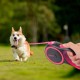 Edipets, Retractable Dog Lead, 3, 5 and 8 Metres, Flexible Band for Right and Walks, Dog Leash, Roller, Flexible Lead, Retractable (Grey, 8 Metres) Edipets, Retractable Dog Lead, 3, 5 and 8 Metres, Flexible Band for Right and Walks, Dog Leash, Roller, Flexible Lead, Retractable (Grey, 8 Metres)