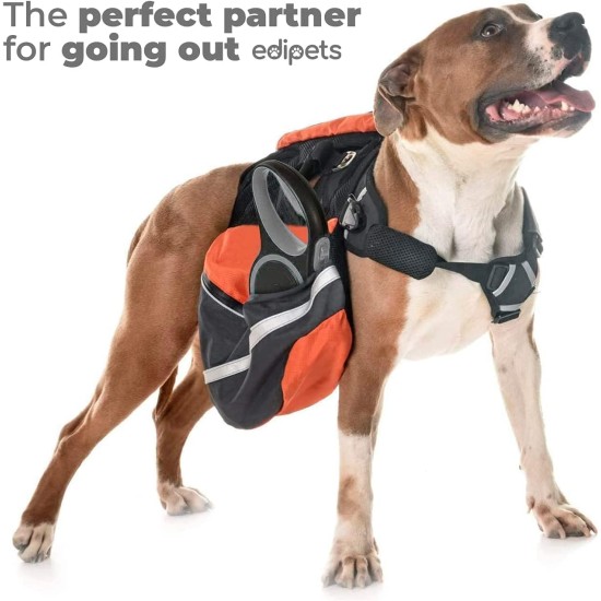 Edipets, Retractable Dog Lead, 3, 5 and 8 Metres, Flexible Band for Right and Walks, Dog Leash, Roller, Flexible Lead, Retractable (Grey, 8 Metres) Edipets, Retractable Dog Lead, 3, 5 and 8 Metres, Flexible Band for Right and Walks, Dog Leash, Roller, Flexible Lead, Retractable (Grey, 8 Metres)