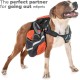 Edipets, Retractable Dog Lead, 3, 5 and 8 Metres, Flexible Band for Right and Walks, Dog Leash, Roller, Flexible Lead, Retractable (Grey, 8 Metres) Edipets, Retractable Dog Lead, 3, 5 and 8 Metres, Flexible Band for Right and Walks, Dog Leash, Roller, Flexible Lead, Retractable (Grey, 8 Metres)