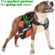 Edipets, Retractable Dog Lead, 3, 5 and 8 Metres, Flexible Band for Right and Walks, Dog Leash, Roller, Flexible Lead, Retractable (Grey, 8 Metres) Edipets, Retractable Dog Lead, 3, 5 and 8 Metres, Flexible Band for Right and Walks, Dog Leash, Roller, Flexible Lead, Retractable (Grey, 8 Metres)