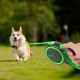 Edipets, Retractable Dog Lead, 3, 5 and 8 Metres, Flexible Band for Right and Walks, Dog Leash, Roller, Flexible Lead, Retractable (Grey, 8 Metres) Edipets, Retractable Dog Lead, 3, 5 and 8 Metres, Flexible Band for Right and Walks, Dog Leash, Roller, Flexible Lead, Retractable (Grey, 8 Metres)