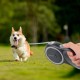 Edipets, Retractable Dog Lead, 3, 5 and 8 Metres, Flexible Band for Right and Walks, Dog Leash, Roller, Flexible Lead, Retractable (Grey, 8 Metres) Edipets, Retractable Dog Lead, 3, 5 and 8 Metres, Flexible Band for Right and Walks, Dog Leash, Roller, Flexible Lead, Retractable (Grey, 8 Metres)