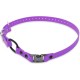 Educator Quick Snap Bungee Collar, 1-Inch Wide by 33-Inches Long, Red Educator Quick Snap Bungee Collar, 1-Inch Wide by 33-Inches Long, Red
