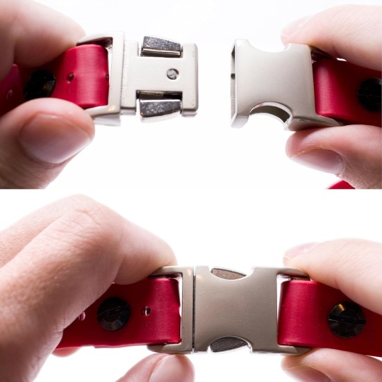 Educator Quick Snap Bungee Collar, 1-Inch Wide by 33-Inches Long, Red Educator Quick Snap Bungee Collar, 1-Inch Wide by 33-Inches Long, Red