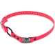 Educator Quick Snap Bungee Collar, 1-Inch Wide by 33-Inches Long, Red Educator Quick Snap Bungee Collar, 1-Inch Wide by 33-Inches Long, Red