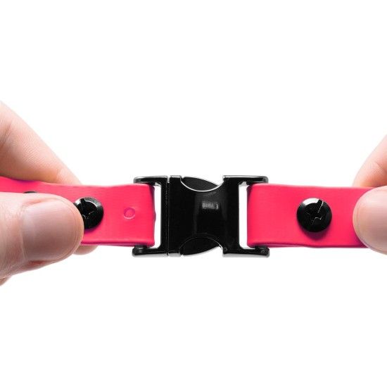 Educator Quick Snap Bungee Collar, 1-Inch Wide by 33-Inches Long, Red Educator Quick Snap Bungee Collar, 1-Inch Wide by 33-Inches Long, Red