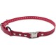 Educator Quick Snap Bungee Collar, 1-Inch Wide by 33-Inches Long, Red Educator Quick Snap Bungee Collar, 1-Inch Wide by 33-Inches Long, Red