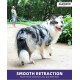Emperor Pets 8 m Retractable Dog Lead - Up to 50 kg, Strong Retractable Dog Lead with Non-Slip Handle; One-Hand Brake, Pause & Lock; Extendable Dog Lead, Dog Leads for Large Dogs - BL26 Emperor Pets 8 m Retractable Dog Lead - Up to 50 kg, Strong Retractable Dog Lead with Non-Slip Handle; One-Hand Brake, Pause & Lock; Extendable Dog Lead, Dog Leads for Large Dogs - BL26