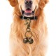 Extra Loud Cat Dog Bell for Collar, Pet Tracker and Falconry, Heavy Duty Brass Collar Pendant with Swivel Lobster Clasp, Large, Brass, 0, Brass, 0 Extra Loud Cat Dog Bell for Collar, Pet Tracker and Falconry, Heavy Duty Brass Collar Pendant with Swivel Lobster Clasp, Large, Brass, 0, Brass, 0