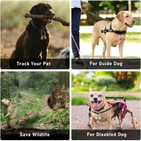 Extra Loud Cat Dog Bell for Collar, Pet Tracker and Falconry, Heavy Duty Brass Collar with Swivel Lobster Clasp Extra Loud Cat Dog Bell for Collar, Pet Tracker and Falconry, Heavy Duty Brass Collar with Swivel Lobster Clasp