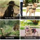 Extra Loud Cat Dog Bell for Collar, Pet Tracker and Falconry, Heavy Duty Brass Collar with Swivel Lobster Clasp Extra Loud Cat Dog Bell for Collar, Pet Tracker and Falconry, Heavy Duty Brass Collar with Swivel Lobster Clasp
