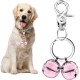 Extra Loud Cat Dog Bell for Collar, Pet Tracker and Falconry, Heavy Duty Brass Collar with Swivel Lobster Clasp Extra Loud Cat Dog Bell for Collar, Pet Tracker and Falconry, Heavy Duty Brass Collar with Swivel Lobster Clasp