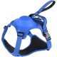 Extreme Hybrid Harness in Aqua Blue - L Extreme Hybrid Harness in Aqua Blue - L