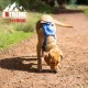Extreme Hybrid Harness in Aqua Blue - L Extreme Hybrid Harness in Aqua Blue - L