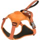 Extreme Hybrid Harness in Aqua Blue - L Extreme Hybrid Harness in Aqua Blue - L