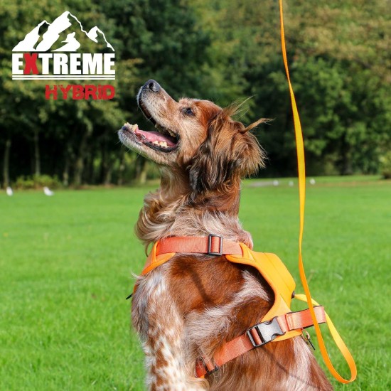 Extreme Hybrid Harness in Aqua Blue - L Extreme Hybrid Harness in Aqua Blue - L