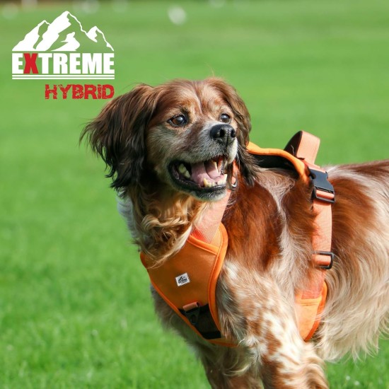 Extreme Hybrid Harness in Aqua Blue - L Extreme Hybrid Harness in Aqua Blue - L