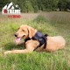 Extreme Hybrid Harness in Aqua Blue - L Extreme Hybrid Harness in Aqua Blue - L