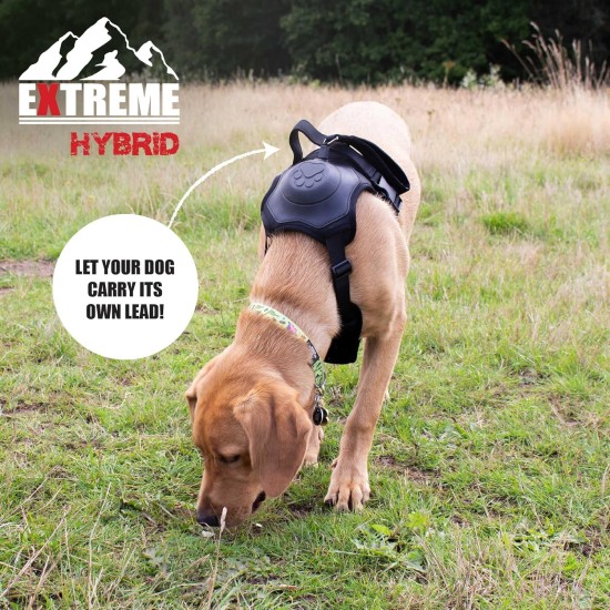 Extreme Hybrid Harness in Aqua Blue - L Extreme Hybrid Harness in Aqua Blue - L