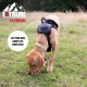 Extreme Hybrid Harness in Aqua Blue - L Extreme Hybrid Harness in Aqua Blue - L