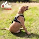 Extreme Hybrid Harness in Aqua Blue - L Extreme Hybrid Harness in Aqua Blue - L