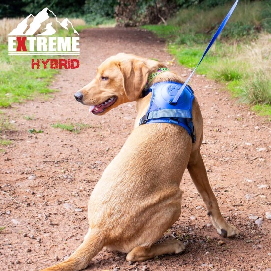 Extreme Hybrid Harness in Aqua Blue - L Extreme Hybrid Harness in Aqua Blue - L