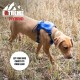 Extreme Hybrid Harness in Aqua Blue - L Extreme Hybrid Harness in Aqua Blue - L