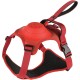Extreme Hybrid Harness in Aqua Blue - L Extreme Hybrid Harness in Aqua Blue - L
