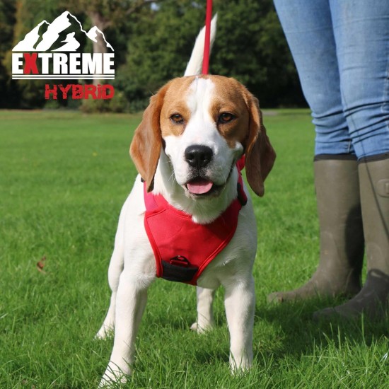 Extreme Hybrid Harness in Aqua Blue - L Extreme Hybrid Harness in Aqua Blue - L