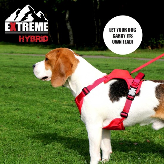 Extreme Hybrid Harness in Aqua Blue - L Extreme Hybrid Harness in Aqua Blue - L