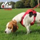 Extreme Hybrid Harness in Aqua Blue - L Extreme Hybrid Harness in Aqua Blue - L