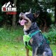 Extreme Hybrid Harness in Aqua Blue - L Extreme Hybrid Harness in Aqua Blue - L