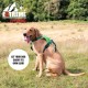 Extreme Hybrid Harness in Aqua Blue - L Extreme Hybrid Harness in Aqua Blue - L