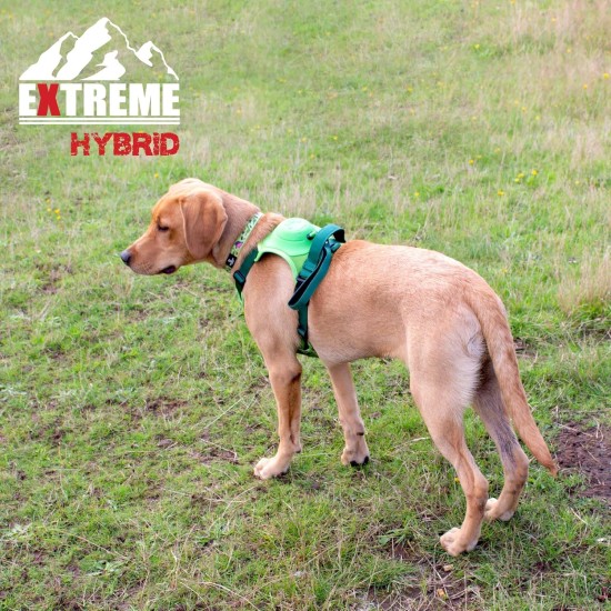 Extreme Hybrid Harness in Aqua Blue - L Extreme Hybrid Harness in Aqua Blue - L