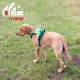 Extreme Hybrid Harness in Aqua Blue - L Extreme Hybrid Harness in Aqua Blue - L