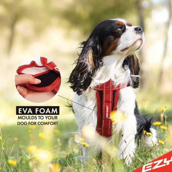 EzyDog Classic Chest Plate Harness, 2X-Large, Black EzyDog Classic Chest Plate Harness, 2X-Large, Black