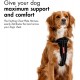 EzyDog Classic Chest Plate Harness, 2X-Large, Black EzyDog Classic Chest Plate Harness, 2X-Large, Black
