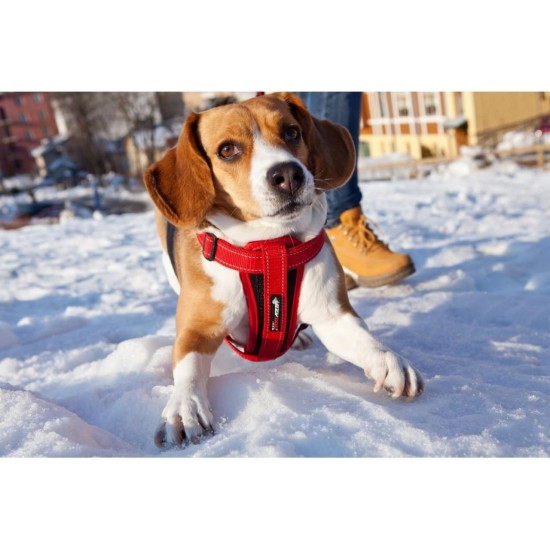 EzyDog Classic Chest Plate Harness, 2X-Large, Black EzyDog Classic Chest Plate Harness, 2X-Large, Black