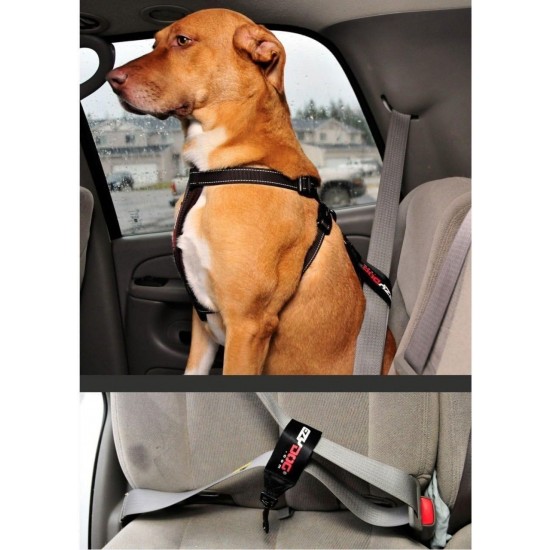 EzyDog Classic Chest Plate Harness, 2X-Large, Black EzyDog Classic Chest Plate Harness, 2X-Large, Black