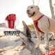 EzyDog Classic Chest Plate Harness, 2X-Large, Black EzyDog Classic Chest Plate Harness, 2X-Large, Black